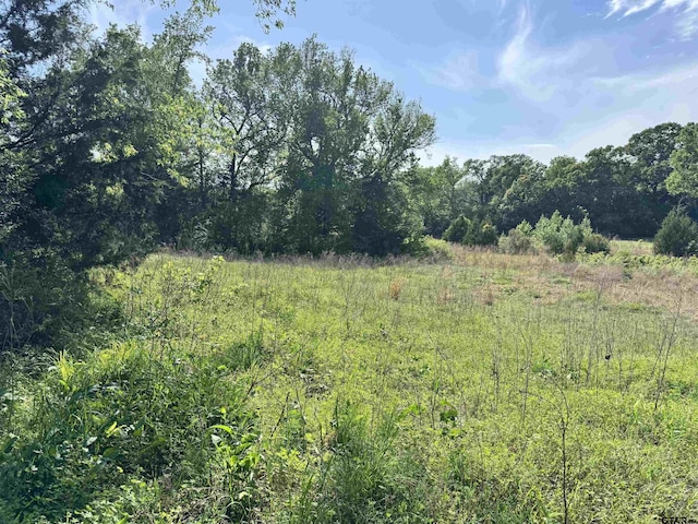 0000 Fm 312, Winnsboro, TX 75494 - photo 17