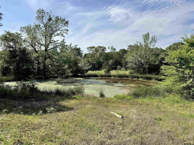 0000 Fm 312, Winnsboro, TX 75494 - photo 9