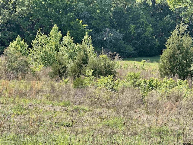 0000 Fm 312, Winnsboro, TX 75494 - photo 18