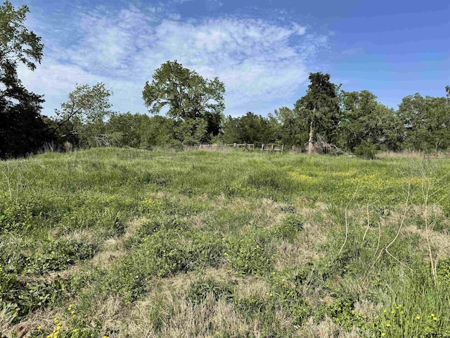 0000 Fm 312, Winnsboro, TX 75494 - photo 10