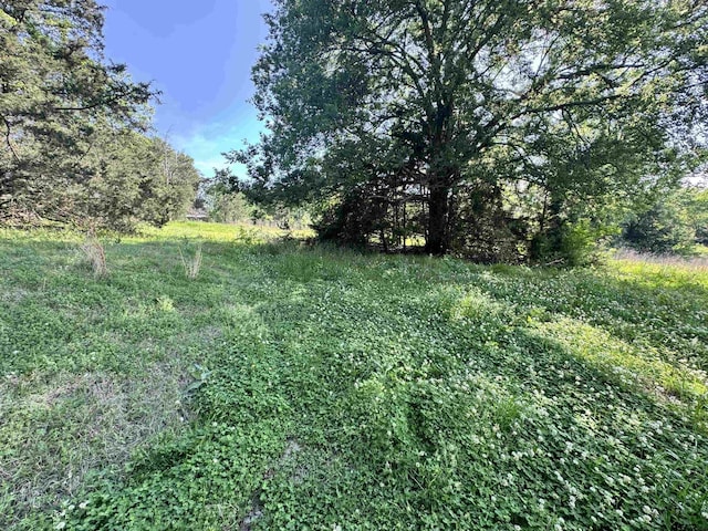 0000 Fm 312, Winnsboro, TX 75494 - photo 16