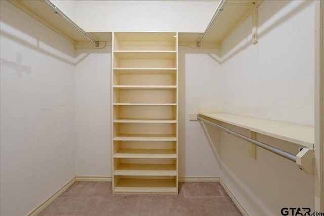 walk in closet with light colored carpet