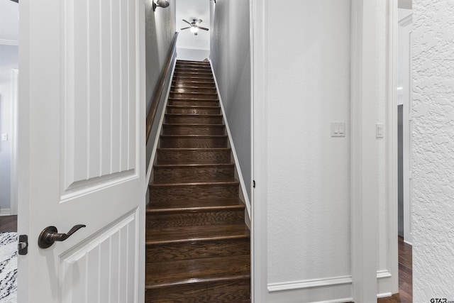 stairs with wood-type flooring