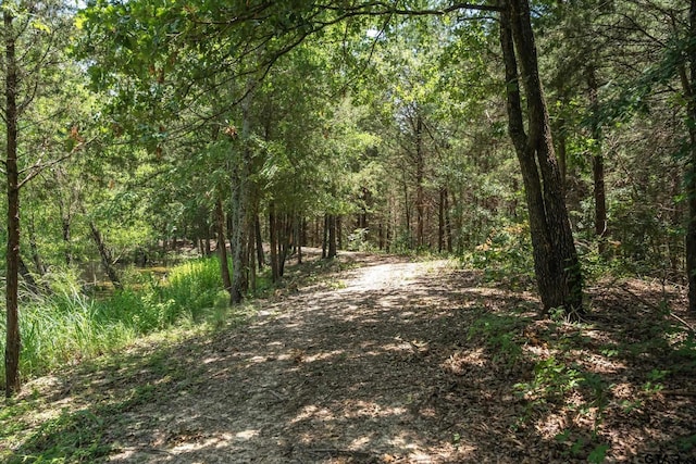 185 Vz County Road 2103, Canton, TX 75103 - view of street featuring a wooded view