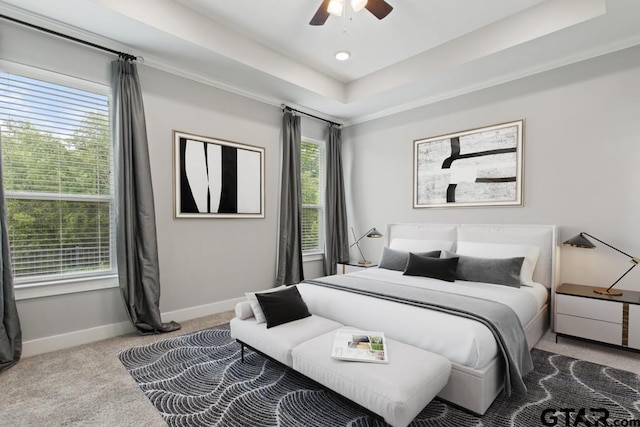 228 Smith Cir, Lindale, TX 75771 - bedroom with carpet flooring, a raised ceiling, and a ceiling fan