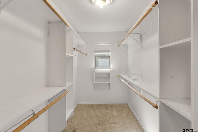 spacious closet featuring light carpet