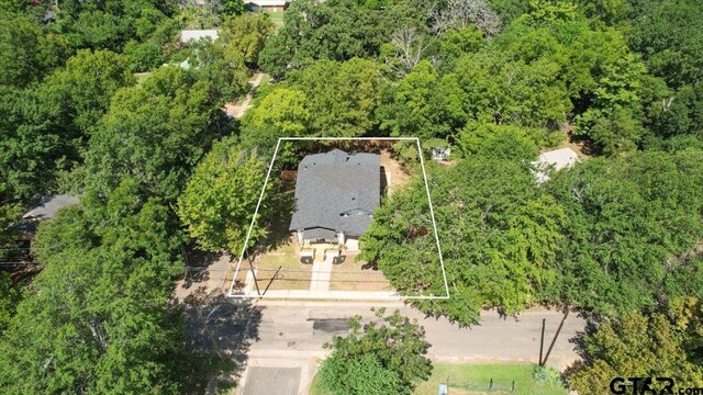 254 SE 19th St, Paris, TX 75460 - view of property location with property parcel outlined