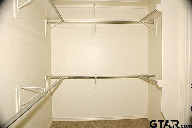 walk in closet with carpet