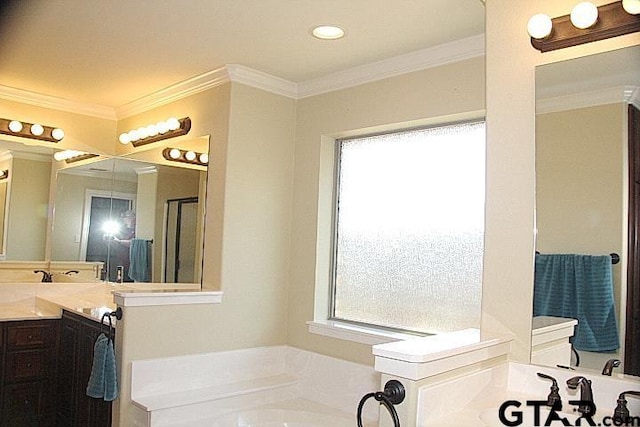 bathroom featuring a garden tub, vanity, and crown molding