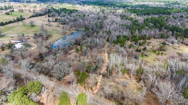 TBD Fm 838, Overton, TX 75684 - photo 13