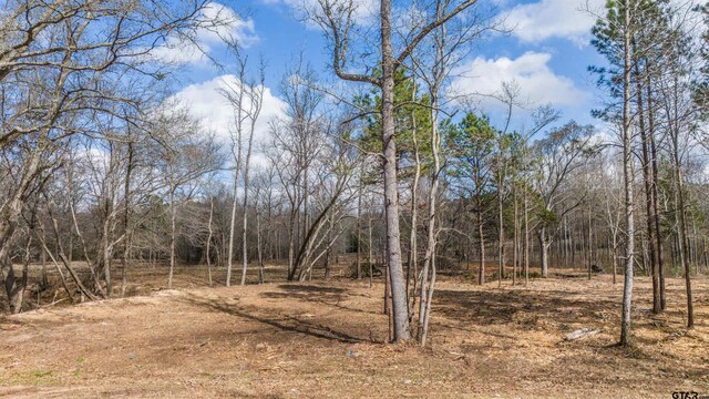 TBD Fm 838, Overton, TX 75684 - photo 16