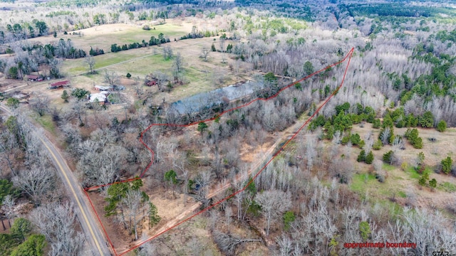 TBD Fm 838, Overton, TX 75684 - photo 12