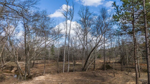 TBD Fm 838, Overton, TX 75684 - photo 15