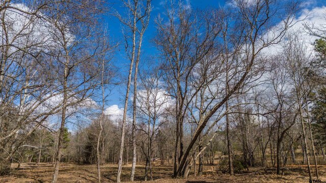 TBD Fm 838, Overton, TX 75684 - photo 23