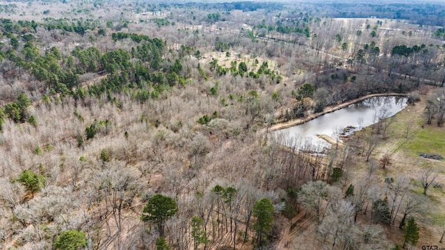 TBD Fm 838, Overton, TX 75684 - photo 11