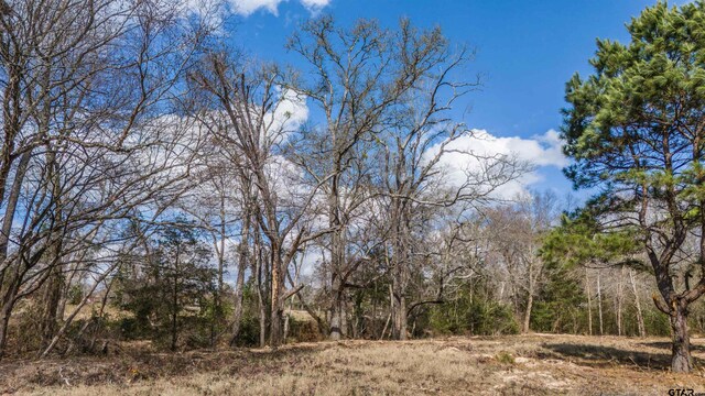 TBD Fm 838, Overton, TX 75684 - photo 21