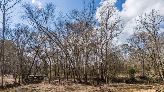 TBD Fm 838, Overton, TX 75684 - photo 20
