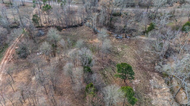 TBD Fm 838, Overton, TX 75684 - photo 24