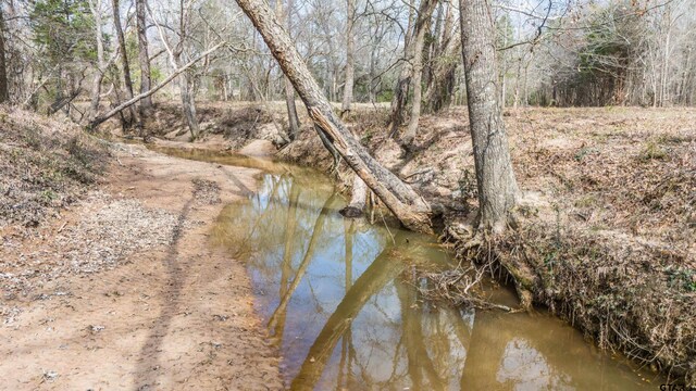 TBD Fm 838, Overton, TX 75684 - photo 5