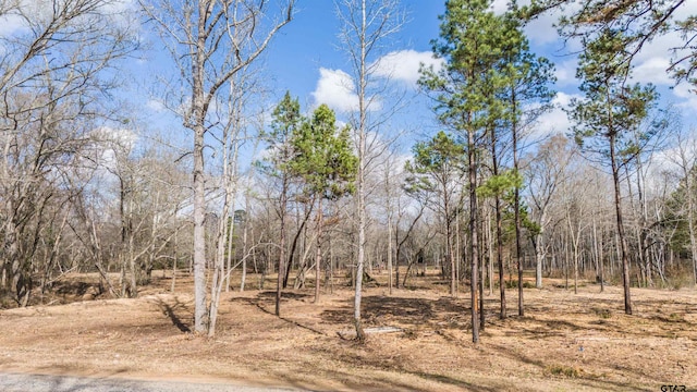 TBD Fm 838, Overton, TX 75684 - photo 17