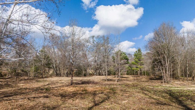TBD Fm 838, Overton, TX 75684 - photo 18