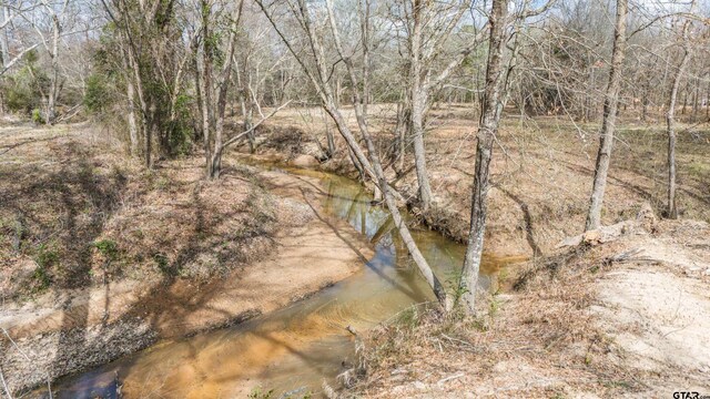 TBD Fm 838, Overton, TX 75684 - photo 4