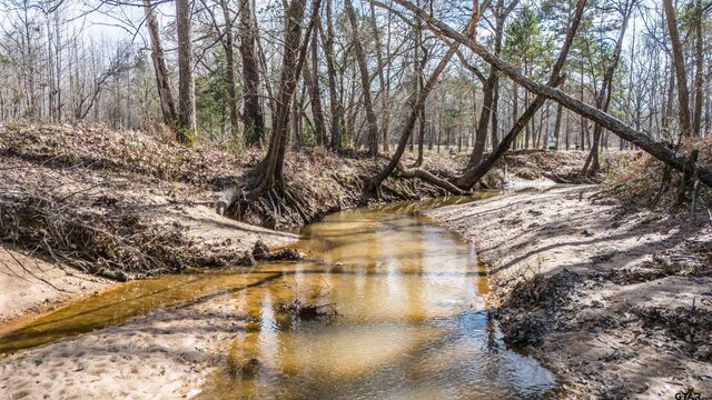 TBD Fm 838, Overton, TX 75684 - photo 22