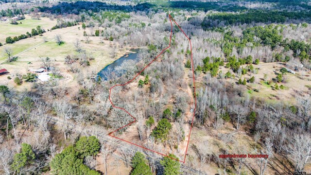 TBD Fm 838, Overton, TX 75684 - photo 14