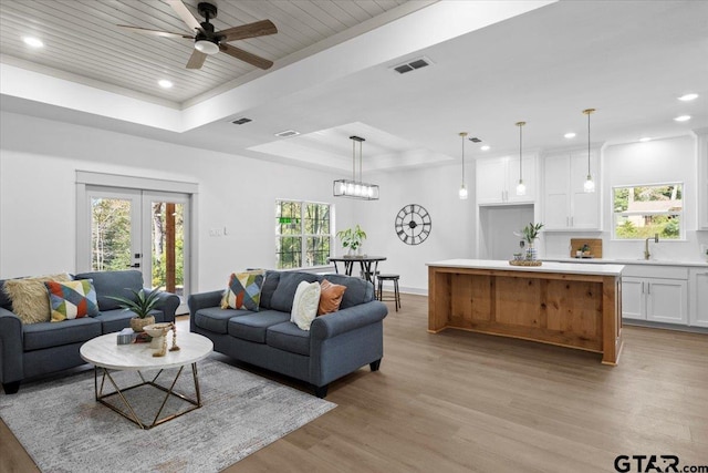 living room with plenty of natural light, a raised ceiling, and light wood-type flooring