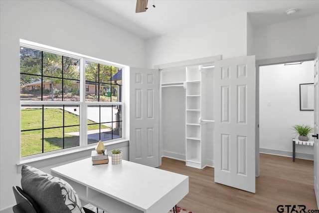 home office featuring hardwood / wood-style floors and a healthy amount of sunlight