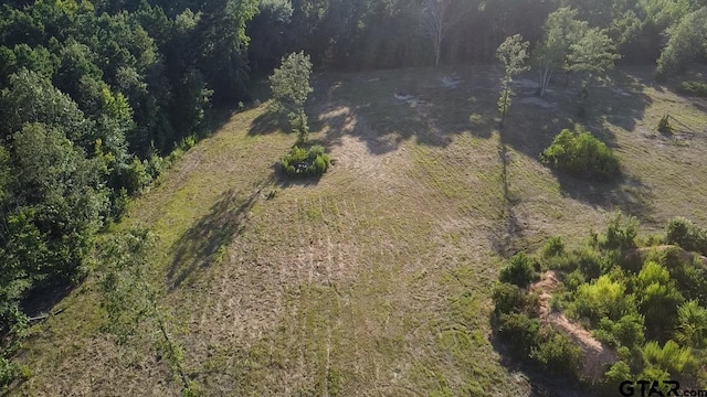 18089 Fm 2767, Winona, TX 75792 - photo 2