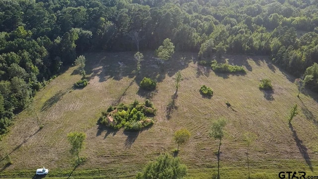 18089 Fm 2767, Winona, TX 75792 - photo 1