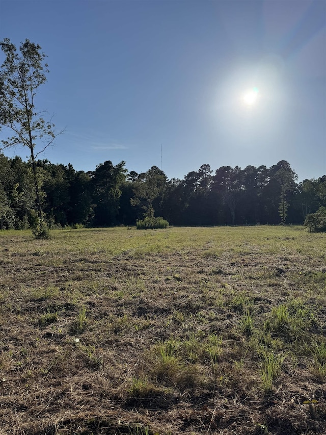 18089 Fm 2767, Winona, TX 75792 - photo 4