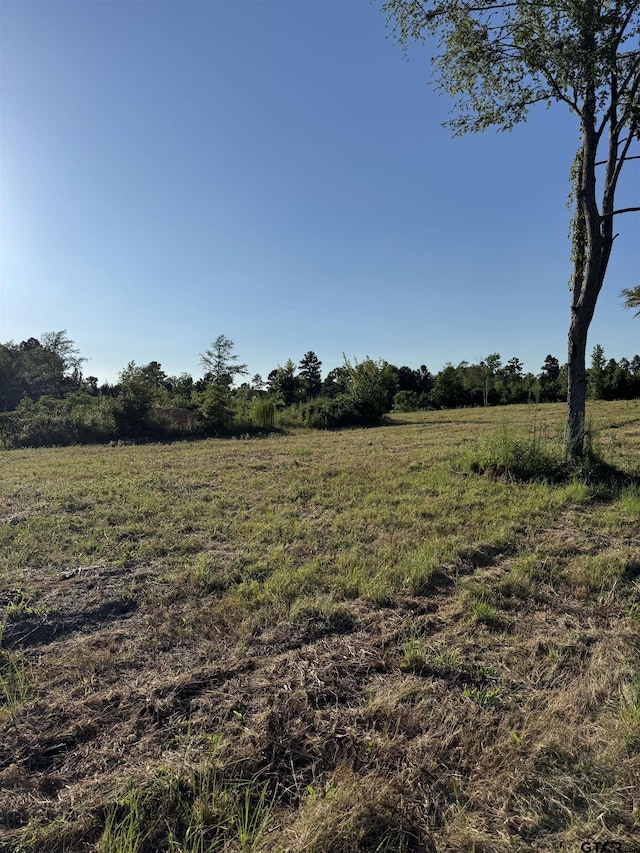 18089 Fm 2767, Winona, TX 75792 - photo 7