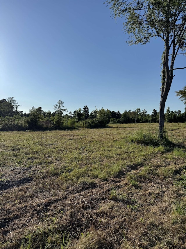 18089 Fm 2767, Winona, TX 75792 - photo 6