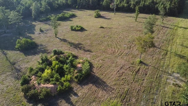 18089 Fm 2767, Winona, TX 75792 - photo 3