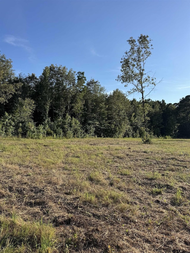 18089 Fm 2767, Winona, TX 75792 - photo 5