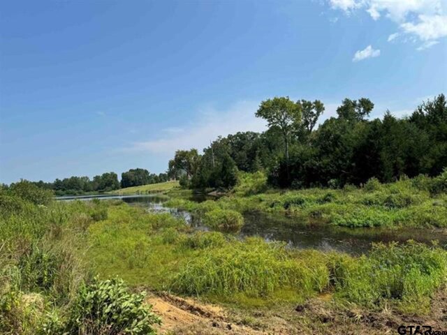 15959 Fm 2015, Tyler, TX 75706 - photo 16