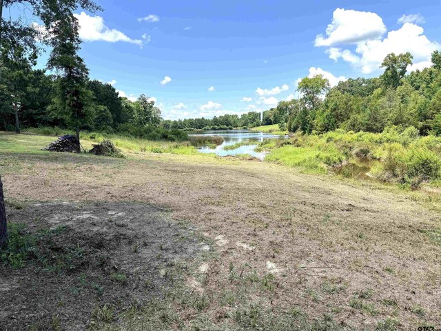 15959 Fm 2015, Tyler, TX 75706 - photo 6