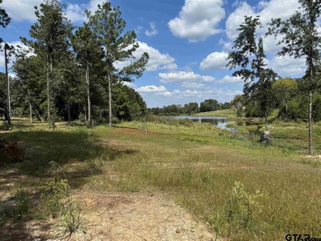 15959 Fm 2015, Tyler, TX 75706 - photo 8