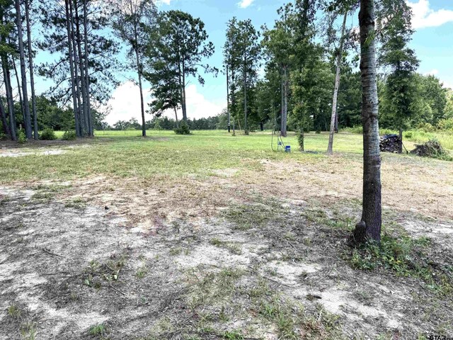 15959 Fm 2015, Tyler, TX 75706 - photo 5
