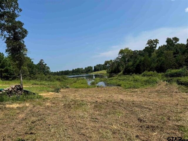 15959 Fm 2015, Tyler, TX 75706 - photo 11