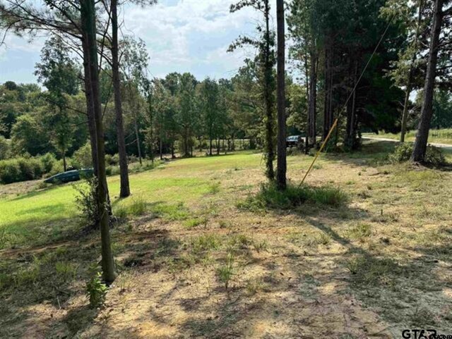 15959 Fm 2015, Tyler, TX 75706 - photo 15