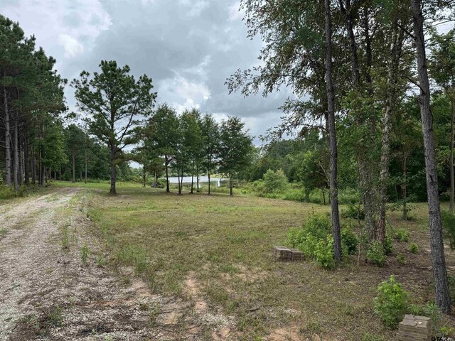 15959 Fm 2015, Tyler, TX 75706 - photo 10