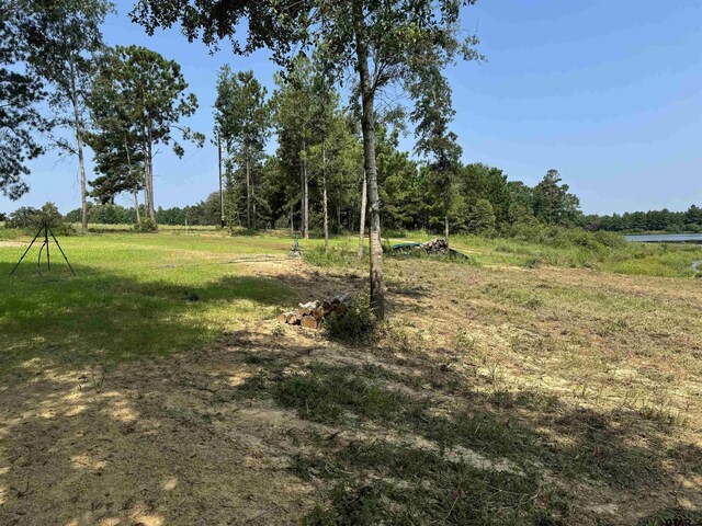 15959 Fm 2015, Tyler, TX 75706 - photo 12