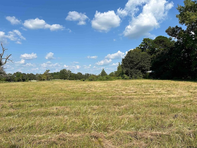 Listing photo 2 for TBD County Road 2115, Troup TX 75789