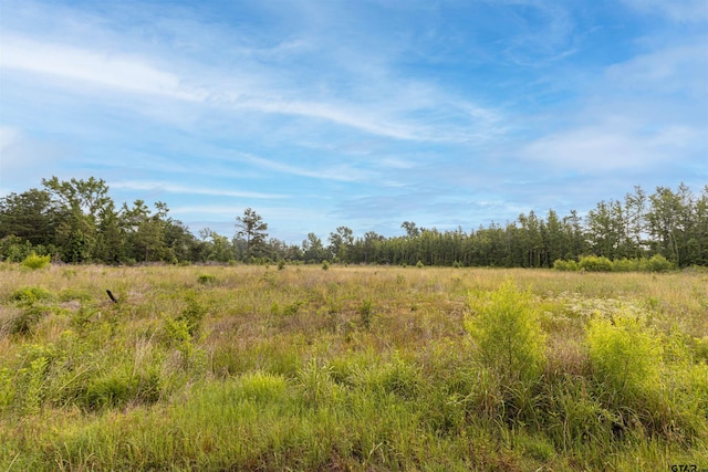 TBD E State Highway 64, Ben Wheeler, TX 75754 - photo 1