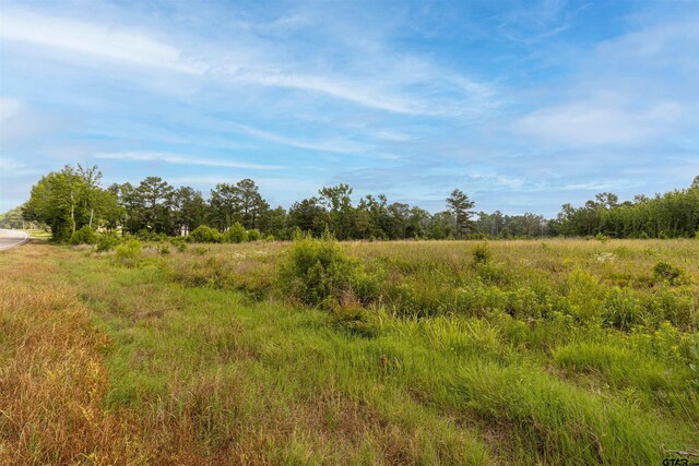 TBD E State Highway 64, Ben Wheeler, TX 75754 - photo 8