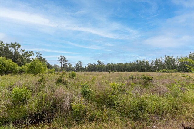 TBD E State Highway 64, Ben Wheeler, TX 75754 - photo 6