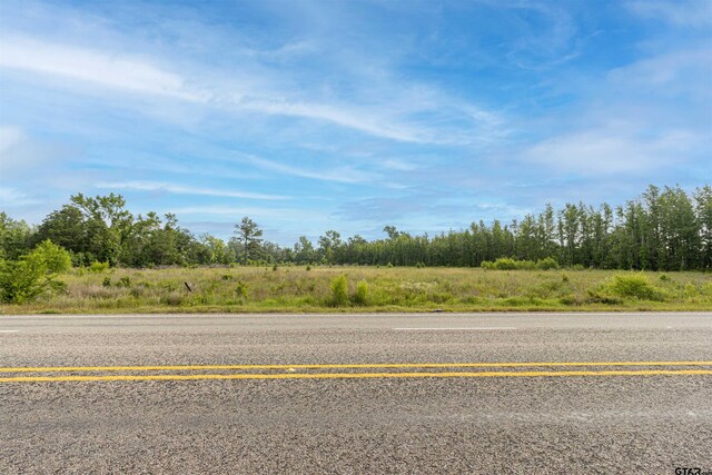 TBD E State Highway 64, Ben Wheeler, TX 75754 - photo 2